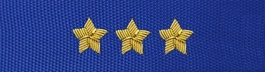 Otok do czapki garnizonowej PSP - aspirant sztabowy, kapitan, starszy brygadier (haft bajorkiem)