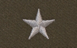 Stopień do furażerki galowej Wojsk Lądowych - chorąży