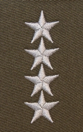 Stopień do furażerki galowej Wojsk Lądowych - starszy chorąży sztabowy