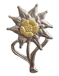 Korpusówka Wojska Polskiego - 21 Brygada Strzelców Podhalańskich