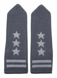 Pagony stalowe do koszulo-bluzy Wojska Polskiego - pułkownik