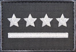 Dystynkcja specjalna SW - kapitan