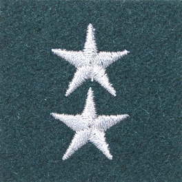 Stopień Wojska Polskiego do beretu zielonego - starszy chorąży