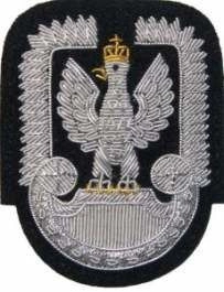 Orzełek do czapki garnizonowej Sił Powietrznych - haftowany bajorkiem