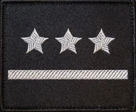 Dystynkcja na kurtkę wyjściową Sił Powietrznych - porucznik