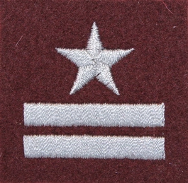 Stopień Wojska Polskiego do beretu bordowego - major