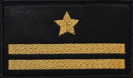 Dystynkcja do ubrania koszarowego - PSP - młodszy brygadier