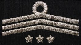 Dystynkcja do ubrania koszarowego OSP, Oddział Powiatowy - wiceprezes zarządu, komendant 