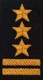 Dystynkcja na beret PSP - starszy brygadier