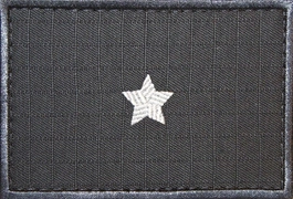 Dystynkcja specjalna SW - chorąży