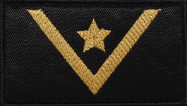 Dystynkcja do ubrania koszarowego - PSP - młodszy aspirant