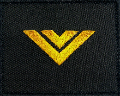 Dystynkcja Marynarki Wojennej - starszy bosman