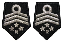 Patki OSP, oddział powiatowy - przewodniczący komisji rewizyjnej