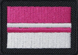 Flaga naramienna - 9 Pułk Ułanów - z rzepem