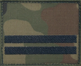 Dystynkcja na kurtkę polową Wojska Polskiego - kapral