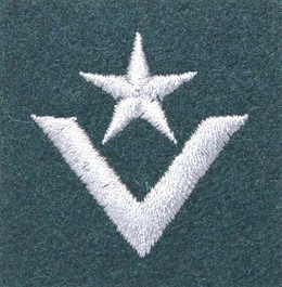 Stopień Wojska Polskiego do beretu zielonego - młodszy chorąży