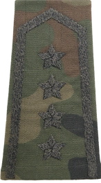 Pochewka na mundur polowy wzór 2010 - starszy chorąży sztabowy