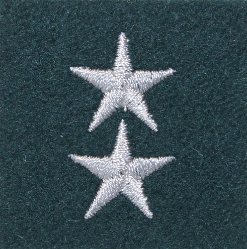 Stopień na beret WP (zielony / h) - starszy chorąży