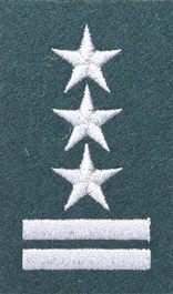 Stopień Wojska Polskiego do beretu zielonego - pułkownik