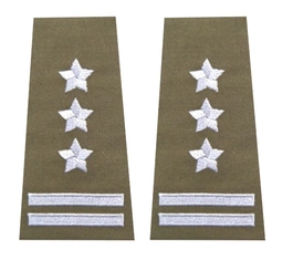 Pagony (pochewki) wyjściowe Wojsk Lądowych - pułkownik