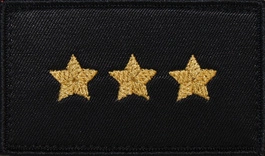 Dystynkcja do ubrania koszarowego - PSP - aspirant sztabowy