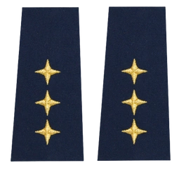 Pagony (pochewki) Straży Miejskiej - zastępca naczelnika