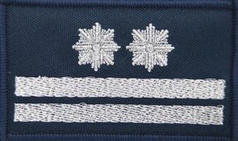 Dystynkcja granatowa Policji, mała - młodszy inspektor