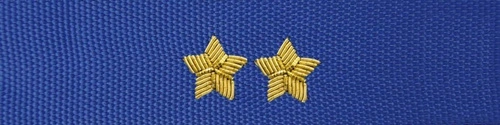 Otok do czapki garnizonowej PSP - starszy aspirant, młodszy kapitan, brygadier (haft bajorkiem)