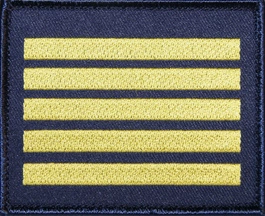 Plakietka na pierś - kadet V klasy wojskowej