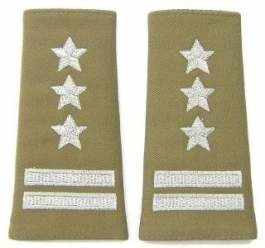 Pagony (pochewki) wyjściowe Straży Granicznej - pułkownik