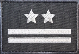 Dystynkcja specjalna SW - podpułkownik