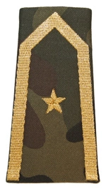 Pochewka polowa - chorąży kawalerii ochotniczej - wzór II