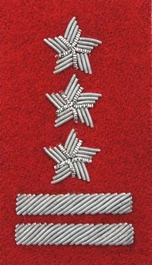 Stopień Wojska Polskiego haftowany bajorkiem do beretu szkarłatnego - pułkownik