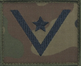 Dystynkcja na kurtkę polową Wojska Polskiego - młodszy chorąży