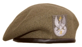 Beret Wojska Polskiego - Wojska Obrony Terytorialnej