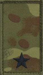 Stopień na koszulkę typu t-shirt Straży Granicznej - chorąży