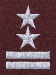 Stopień Wojska Polskiego do beretu bordowego - podpułkownik