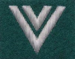 Stopień Wojska Polskiego haftowany bajorkiem do beretu zielonego - starszy sierżant