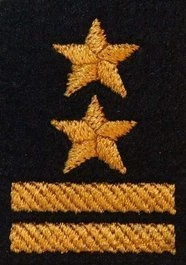 Dystynkcja na beret PSP - brygadier