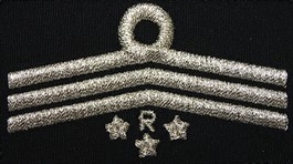 Dystynkcja do ubrania koszarowego OSP, Oddział Powiatowy - przewodniczący komisji rewizyjnej