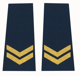 Pagony (pochewki) Straży Miejskiej - specjalista