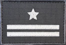 Dystynkcja specjalna SW - major