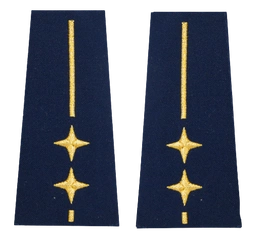 Pagony (pochewki) Straży Miejskiej - inspektor