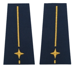 Pagony (pochewki) Straży Miejskiej - młodszy inspektor