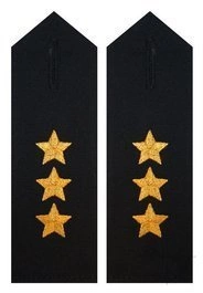 Pagony do koszuli PSP - kapitan