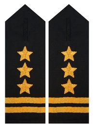 Pagony do koszuli PSP - starszy brygadier