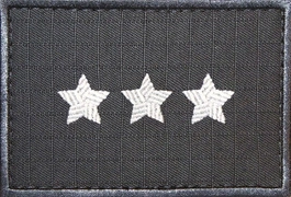 Dystynkcja specjalna SW - chorąży sztabowy