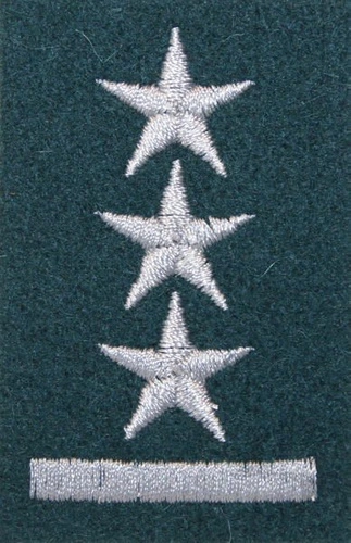 Stopień na beret WP (zielony / h) - porucznik