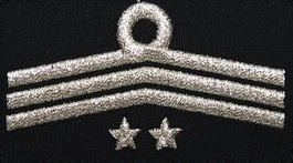 Dystynkcja do ubrania koszarowego OSP, Oddział Powiatowy - członek prezydium zarządu