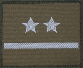 Dystynkcja na kurtkę wyjściową Wojsk Lądowych - podporucznik